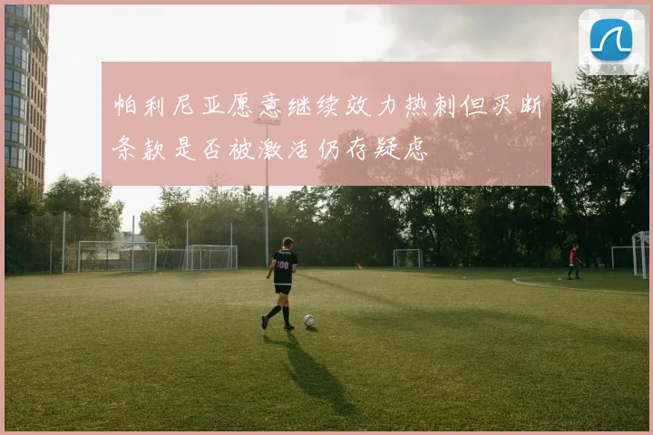 帕利尼亚愿意继续效力热刺但买断条款是否被激活仍存疑虑
